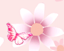 sticker_2016837_15784647
