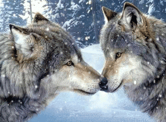 sticker_26414922_38215791