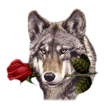 sticker_12304237_30303137
