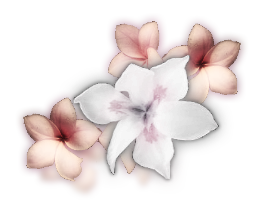 sticker_11914440_39267566