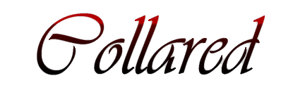 sticker_24502652_33584815