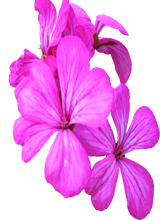sticker_20960216_28856980