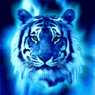 sticker_22226974_44236275