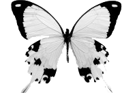 sticker_14157202_23013910