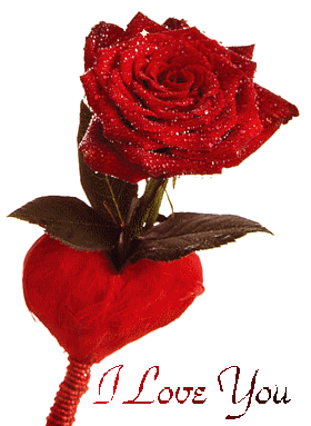 sticker_15525015_29078267