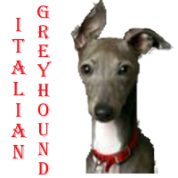 sticker_29825755_42240199