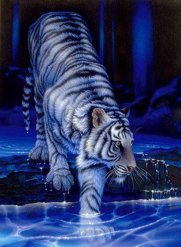 sticker_7642030_23060778