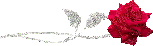sticker_23682925_34169424