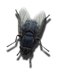 sticker_892660_41706078