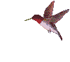 sticker_5260502_15381880