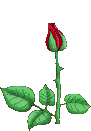 sticker_13192539_23872570