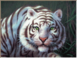 sticker_17655176_23635030