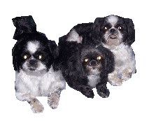 sticker_22587919_35755735