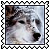 sticker_12807896_30120168