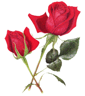 sticker_4236870_34896743