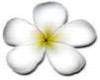sticker_7888019_10376785