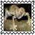 sticker_15619627_24266653