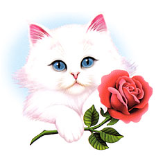 sticker_166449_160653