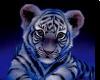 sticker_26444672_39354191