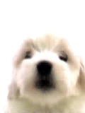 sticker_15807574_28613019