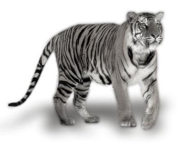 sticker_15515878_20246852