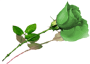 sticker_7888019_26083772