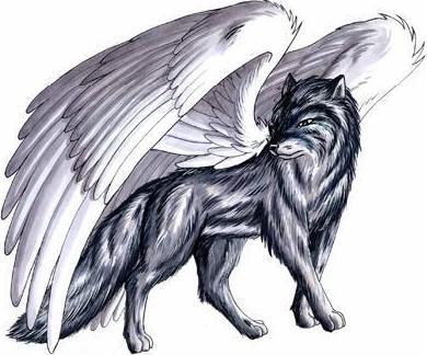 sticker_20449182_40117543