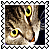 sticker_22795194_38409621
