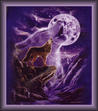 sticker_19808682_34659374