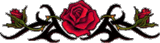 sticker_21887489_34613306