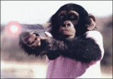 sticker_11550816_14944506