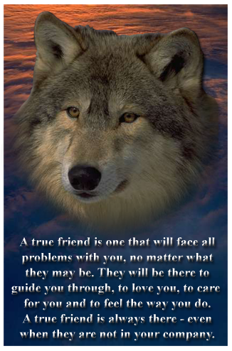 sticker_13658529_21059270
