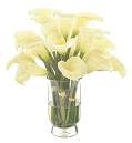 sticker_6517719_26534762