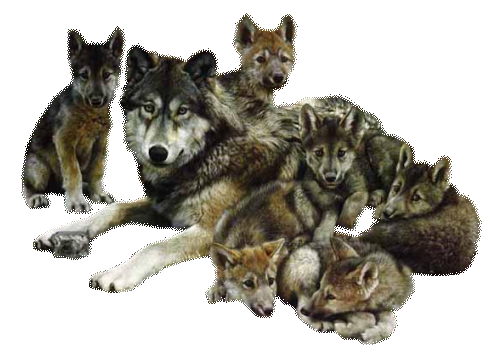 sticker_23249456_35710872