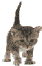 sticker_6641548_36242281