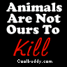 sticker_15535515_36000999