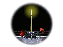sticker_10440314_13808908