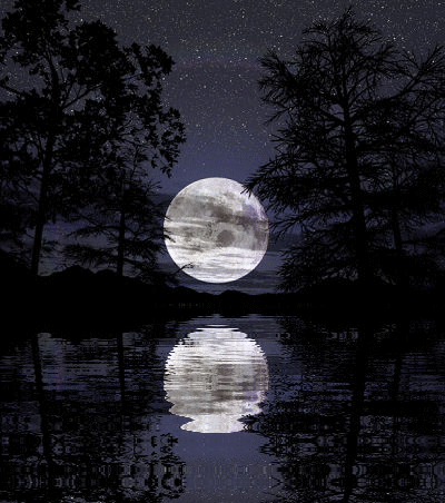 sticker_28068535_45439344