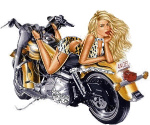 sticker_18830409_33511975