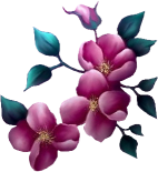sticker_14271731_41230506