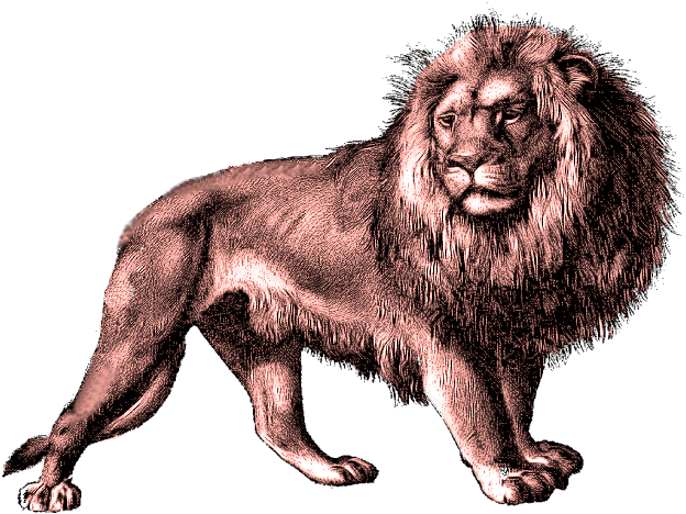 sticker_2858881_12866141