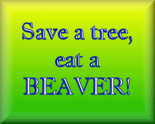 sticker_2173246_6391825