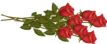 sticker_23910053_40204747