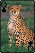 sticker_6195420_40766356