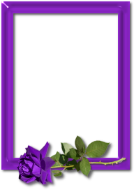 sticker_17324506_28055899