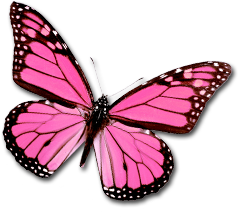 sticker_7200378_10060024