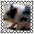 sticker_15619627_24698575