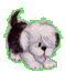 sticker_11590325_36702247