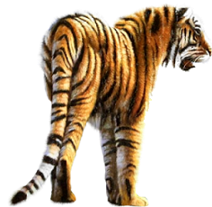 sticker_21635169_40926684