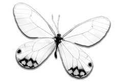 sticker_23829770_34802968